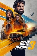 Шальная пуля 3